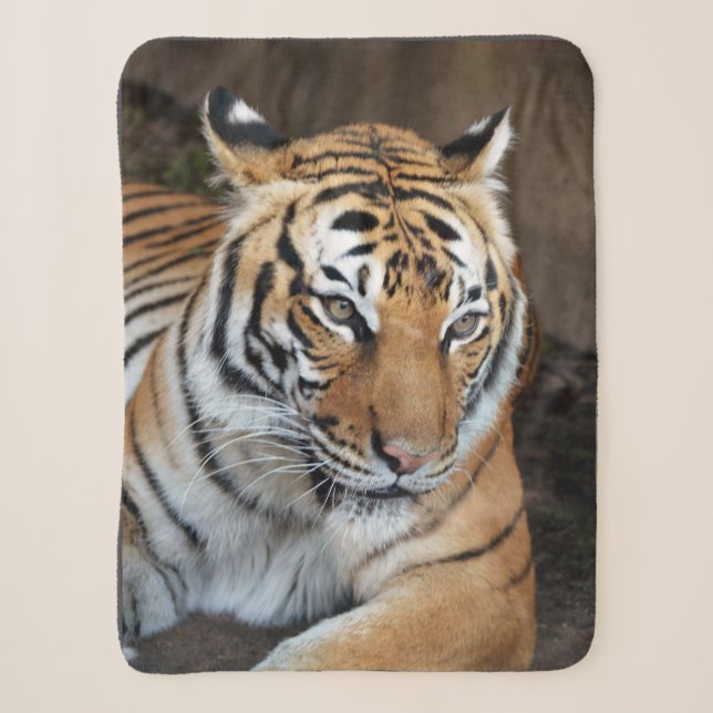 Cobertor Sherpa Tigre (Frente)