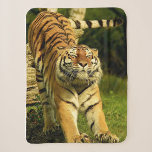 Cobertor Sherpa Tigre