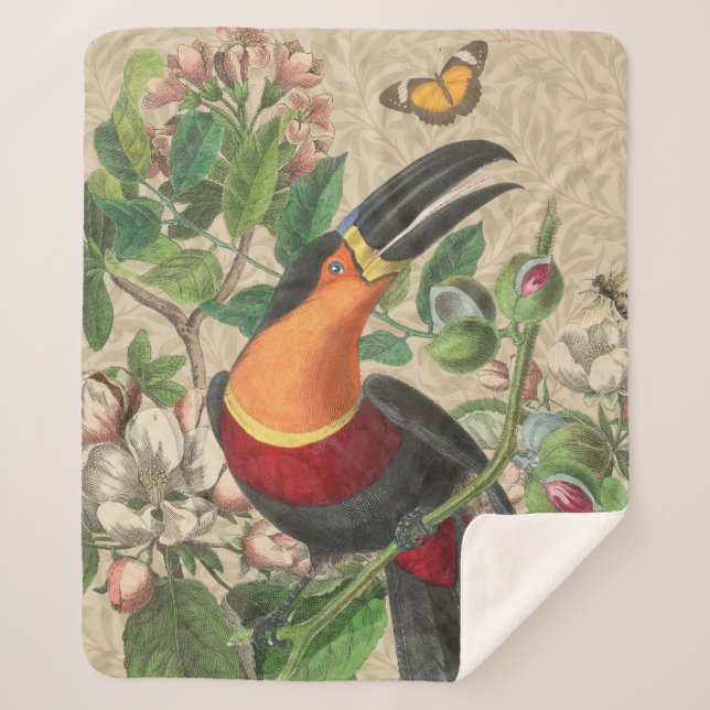 Cobertor Sherpa Toucan Jungle Tropical Bird Beauful Antiguidade (Frente)
