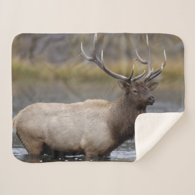Cobertor Sherpa Touro Elk Crossing | Parque Nacional Yellowstone (Frente (Horizontal))