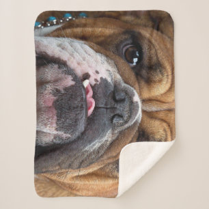 Cobertor Sherpa Travesseiro decorativo Inglês Bulldog