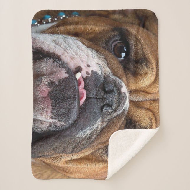 Cobertor Sherpa Travesseiro decorativo Inglês Bulldog (Frente)
