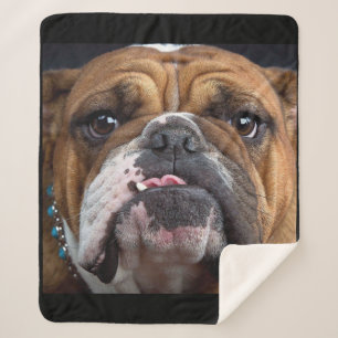 Cobertor Sherpa Travesseiro decorativo Inglês Bulldog