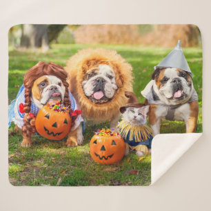 Cobertor Sherpa Três Bulldogs Vestidos