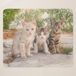 Cobertor Sherpa Três gatinhos bonitinhos se sentam juntos