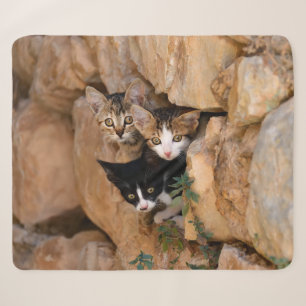 Cobertor Sherpa Três Gatinhos Curiosos Enfrentam Uma Foto Engraç