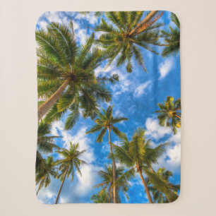 Cobertor Sherpa Tropical Beaches Palm Trees on Blue Sky