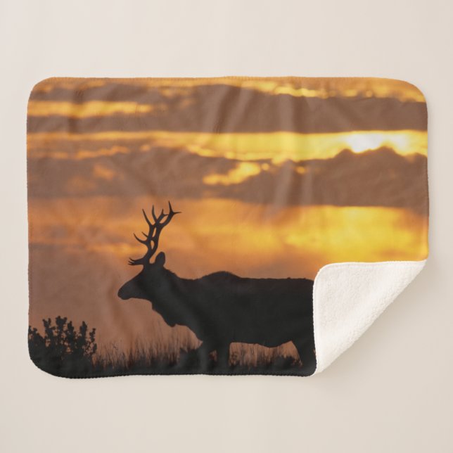 Cobertor Sherpa Tule Elk | Ponto Reyes National Seashore (Frente (Horizontal))