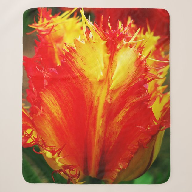 Cobertor Sherpa Tulipa Vermelha E Amarelo (Frente)