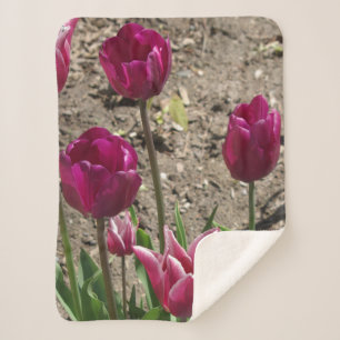 Cobertor Sherpa Tulipas roxas sherpa blankert