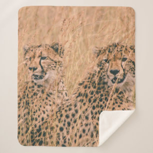 COBERTOR SHERPA TWO CHEETAH SITTING ON FIELD AT DAYTIME