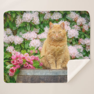 Cobertor Sherpa Um Gato Laranja num Jardim com Flores de Mola Rosa