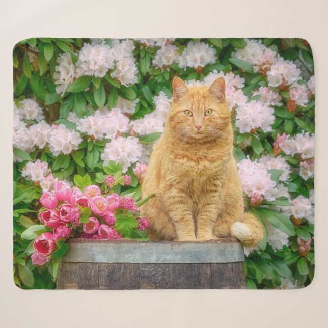 Cobertor Sherpa Um Gato Laranja num Jardim com Flores de Mola Rosa (Frente (Horizontal))