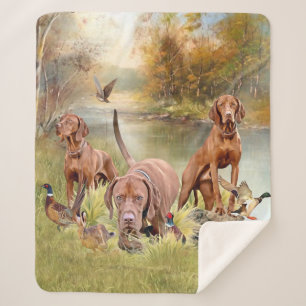 Cobertor Sherpa Um versátil aristocrata no Vizsla Húngaro