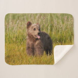 Cobertor Sherpa Urso engraçado do bebê das imagens de Getty