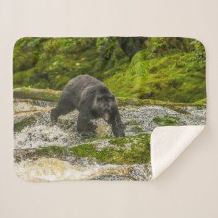 Cobertor Sherpa Urso Negro Pescando Qua Creek Colúmbia Britânica