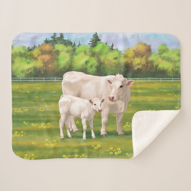 Cobertor Sherpa Vaca branca de Charolês e Bovinos de Bovinos de Vi (Frente (Horizontal))