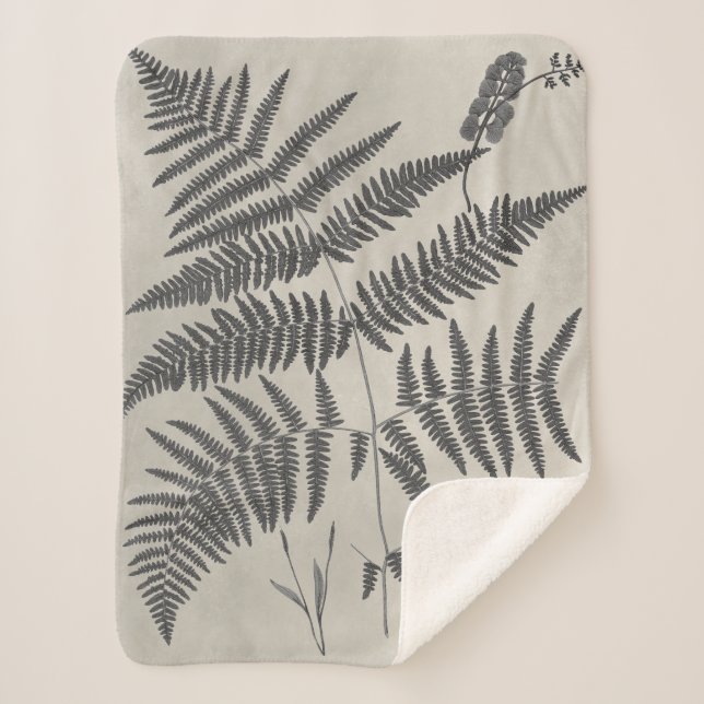 Cobertor Sherpa Vintage Ferns (Frente)