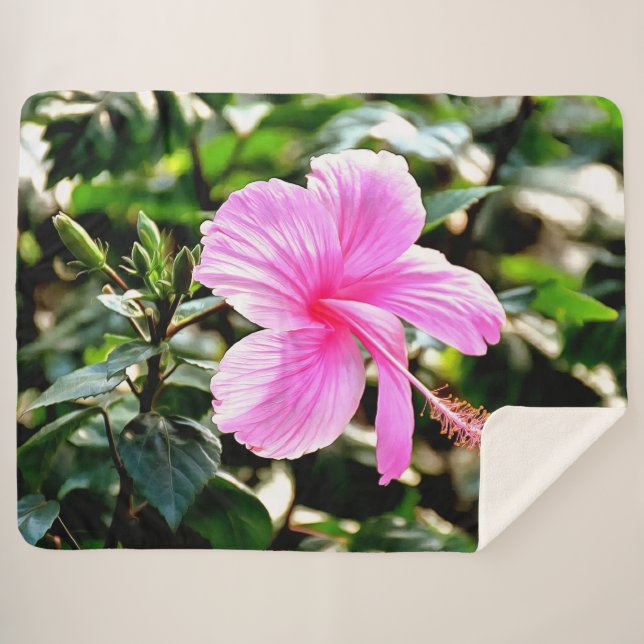 Cobertor Sherpa Vivid Tropical Rosa Hibiscus (Frente (Horizontal))