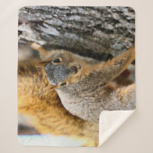 Cobertor Sherpa Você vem?