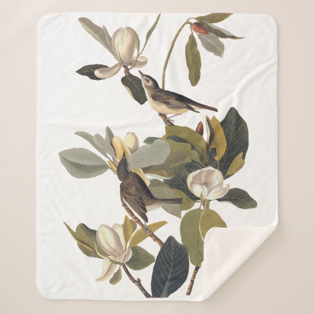 Cobertor Sherpa Warbling Flycatcher Kingbird Vintage Audubon (Frente)
