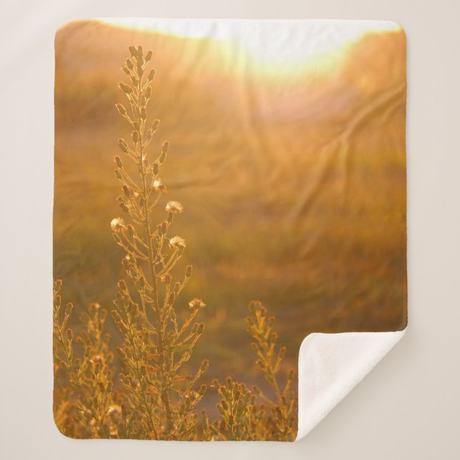 COBERTOR SHERPA WARM SHOT OF MEADOW GRASS (Frente)