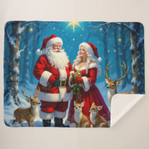 „Weihnachtliche Harmonie“