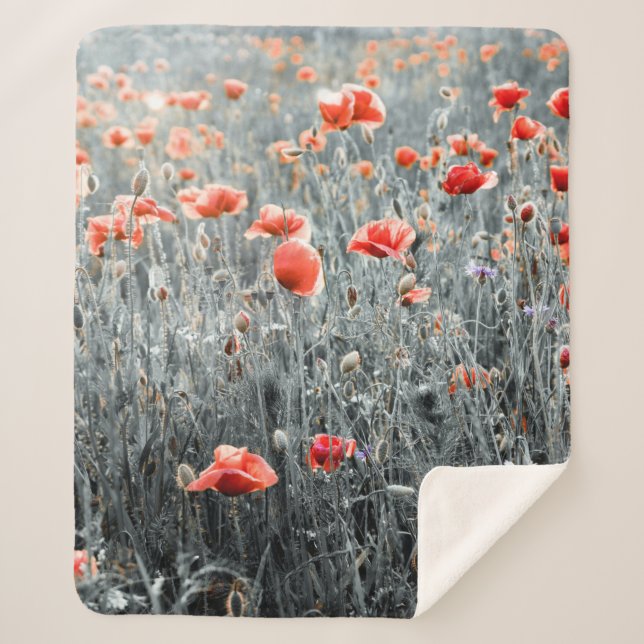 Cobertor Sherpa Wildflowers poppies (Frente)
