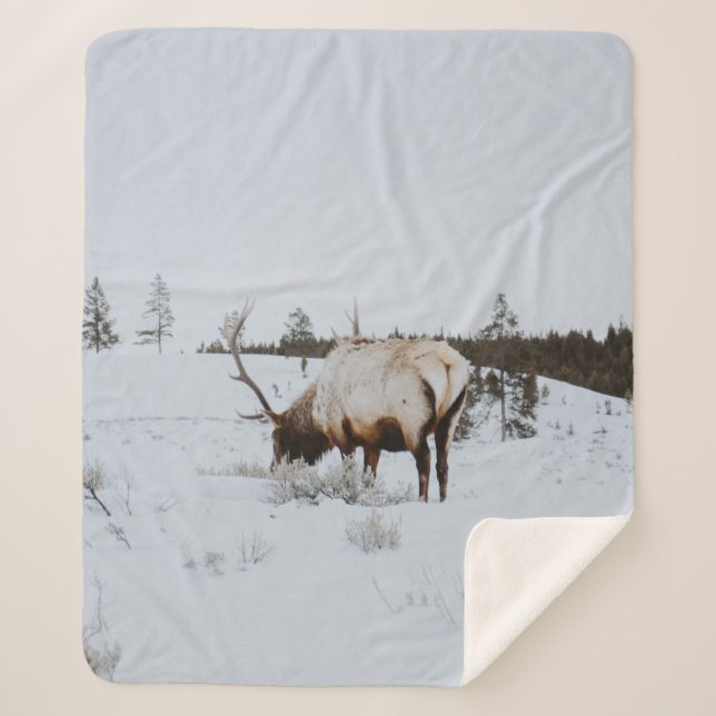 COBERTOR SHERPA WINTER LANDSCAPE WITH A DEER (Frente)