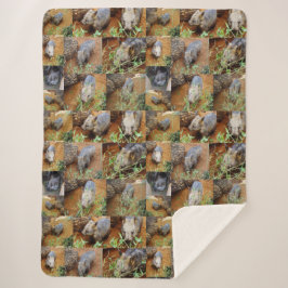 Cobertor Sherpa Wombat Photo Collage
