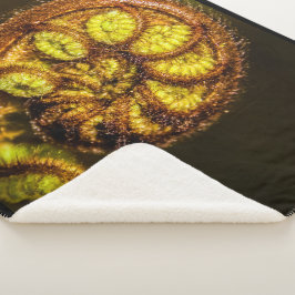 Cobertor Sherpa Young Fern Folaves