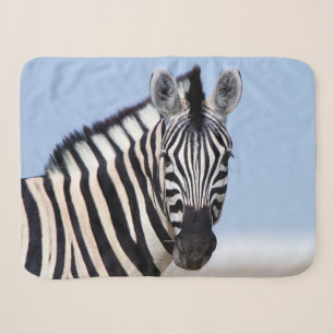 Cobertor Sherpa Zebra olhando para você com uma foto azul do céu