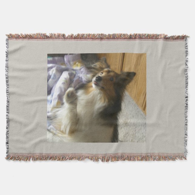 Cobertor Shetland Sheepdog Pedindo (Frente)