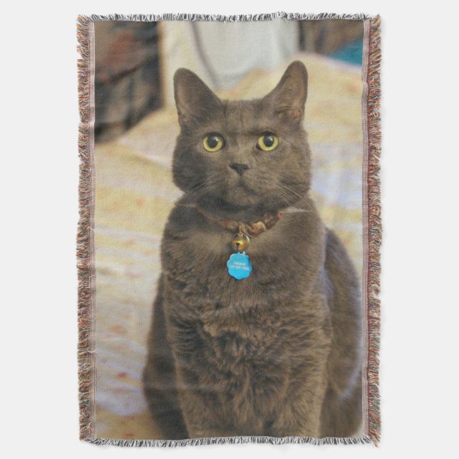 Cobertor Sinais (Frente Vertical)