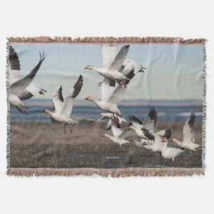 Cobertor Snow Geese Voadora