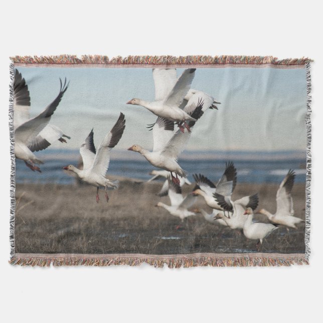 Cobertor Snow Geese Voadora (Frente)