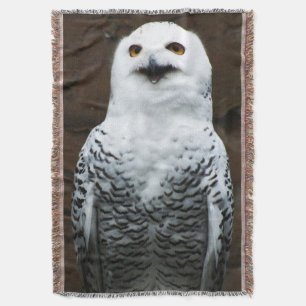 Cobertor Snowy Owl tbcna