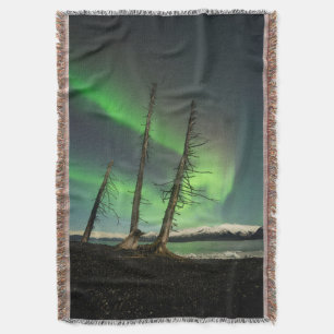 Cobertor Spruce Aurora Esquecido