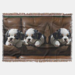 Cobertor Super Bonitinhos no sofá 1