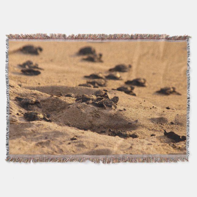 Cobertor Tartarugas de mar (Frente)