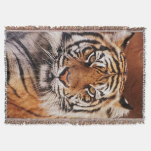 Cobertor Tigre-de-sumatra