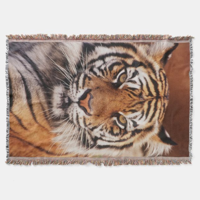 Cobertor Tigre-de-sumatra (Frente)