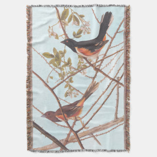 Cobertor Toweting Audubon Black and Orange Song Birds