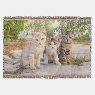 Cobertor Três gatinhos bonitinhos se sentam juntos