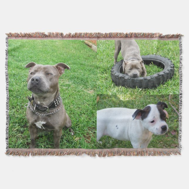 Cobertor Três "Staffordshire Bull Terriers", "Throw Blanket (Frente)