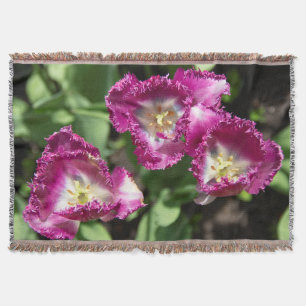 Cobertor Tulipas púrpuras e brancas no jardim