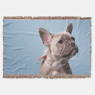 Cobertor Um Bulldog Francês