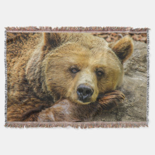 Cobertor Urso de Brown selvagem