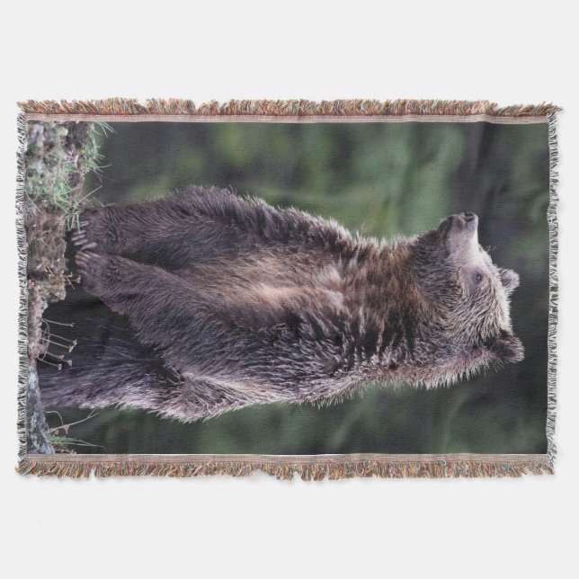 Cobertor Urso de urso ereto (Frente)