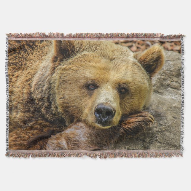 Cobertor Urso Marrom Selvagem (Frente)